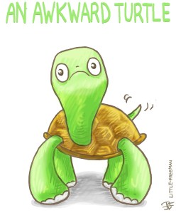 turtle